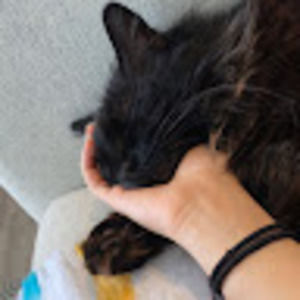 Meet your Posher, Katelyn